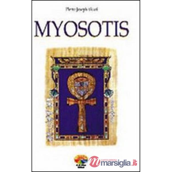 Myosotis