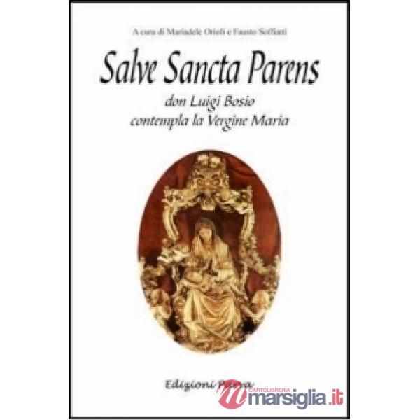 Salve sancta parens. Don Luigi Bosio contempla la Vergine Maria