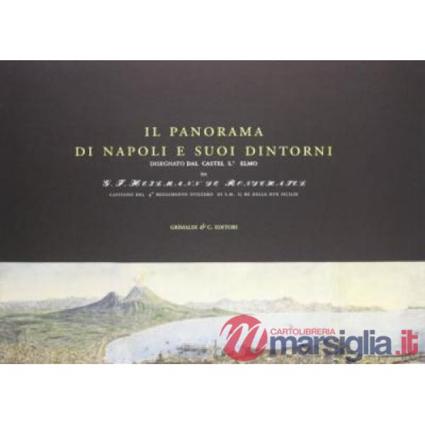 Panorama di Napoli e suoi dintorni (Il)