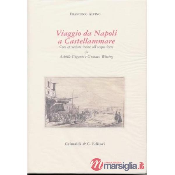 Viaggio da Napoli a Castellammare con 42 vedute incise all'acquaforte da Achille Gigante a Gustavo Witting