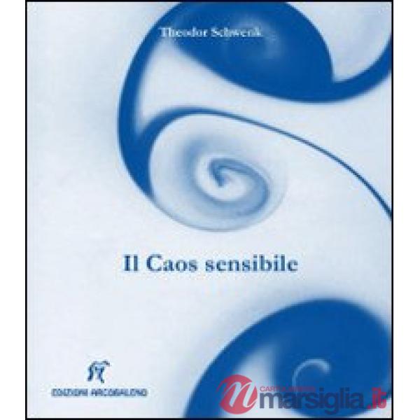 Caos sensibile. Fluente creazione di forme nell'acqua e nell'aria (Il)