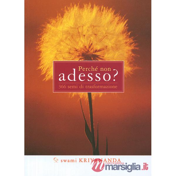 Perché non adesso? 366 semi di trasformazione