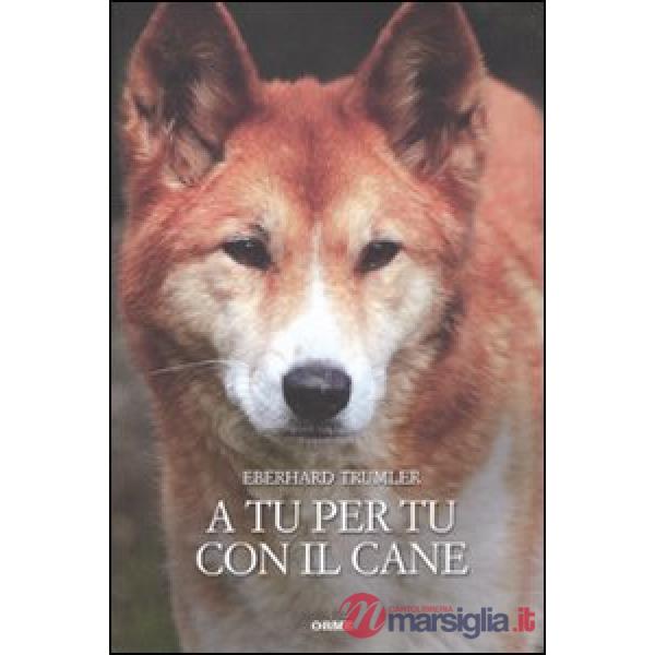 A tu per tu con il cane