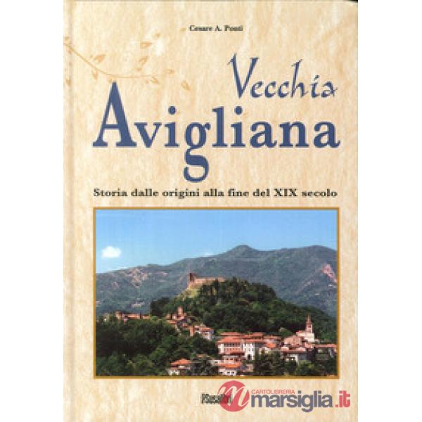 Vecchia Avigliana. Storia dalle origini alla fine del XIX secolo