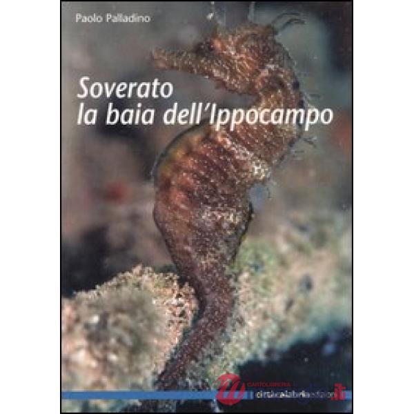 Soverato e la Baia dell'Ippocampo