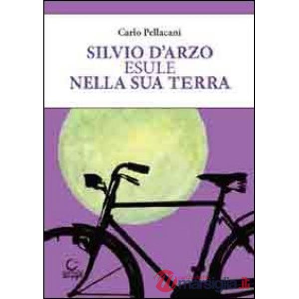 Silvio D'Arzo, esule nella sua terra