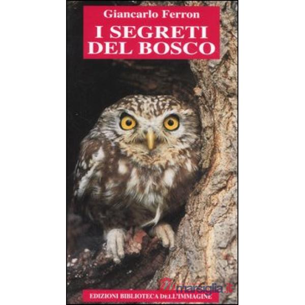 Segreti del bosco (I)