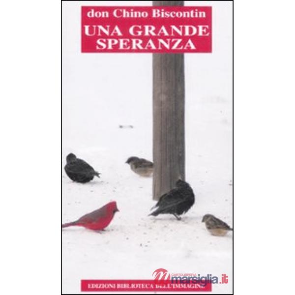 Grande speranza (Una)