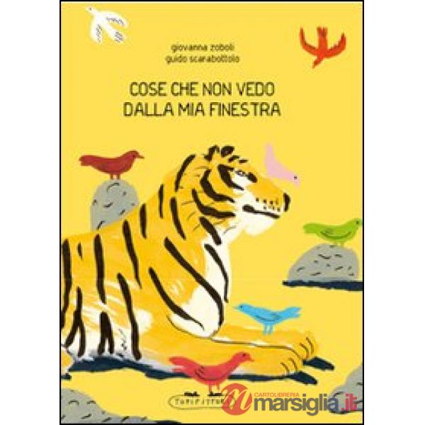Cose che non vedo dalla mia finestra. Ediz. illustrata