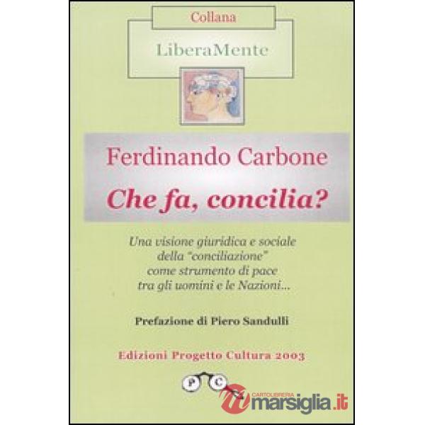 Che fa, concilia?