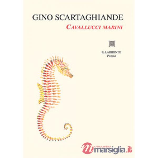 Cavallucci marini