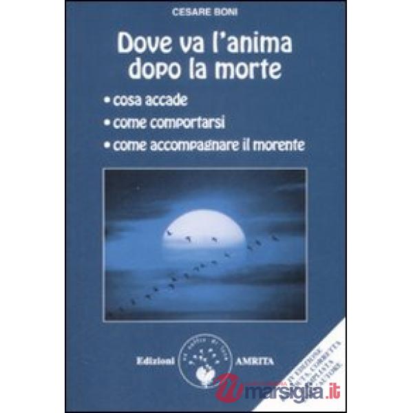Dove va l'anima dopo la morte