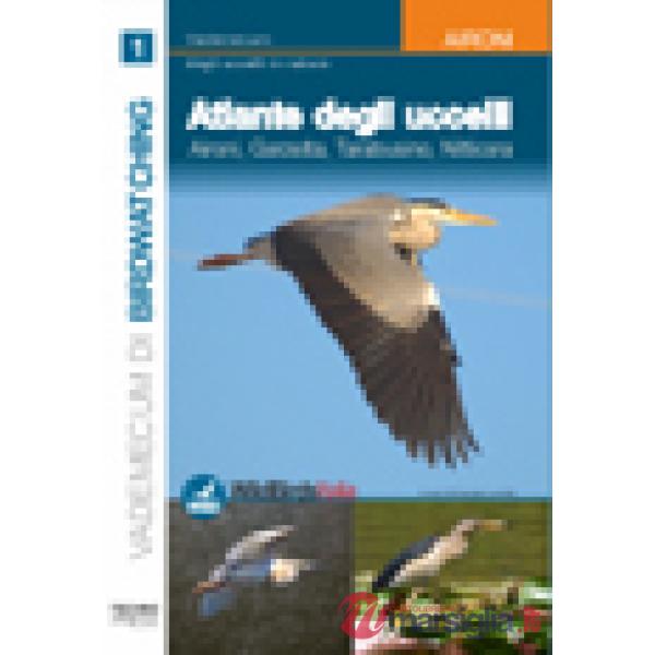 Atlante degli uccelli. Ediz. illustrata. Vol. 1: Aironi, garzetta, tarabusino, nitticora