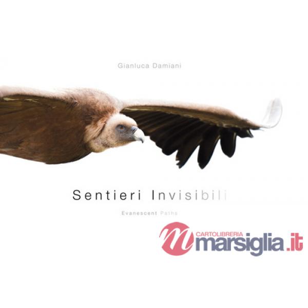 Sentieri invisibili-Evanescent paths. Ediz. illustrata