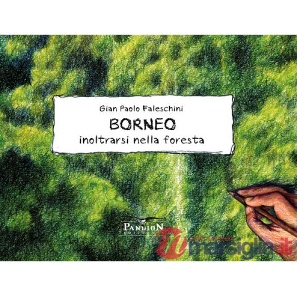 Borneo. Inoltrarsi nella foresta. Ediz. illustrata
