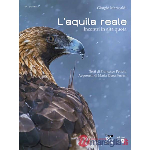 Aquila reale. Incontri in alta quota
