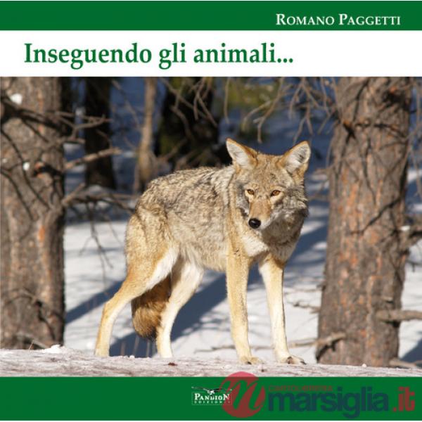 Inseguendo gli animali. Ediz. per la scuola