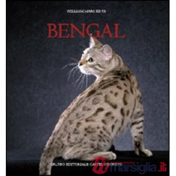 Bengal