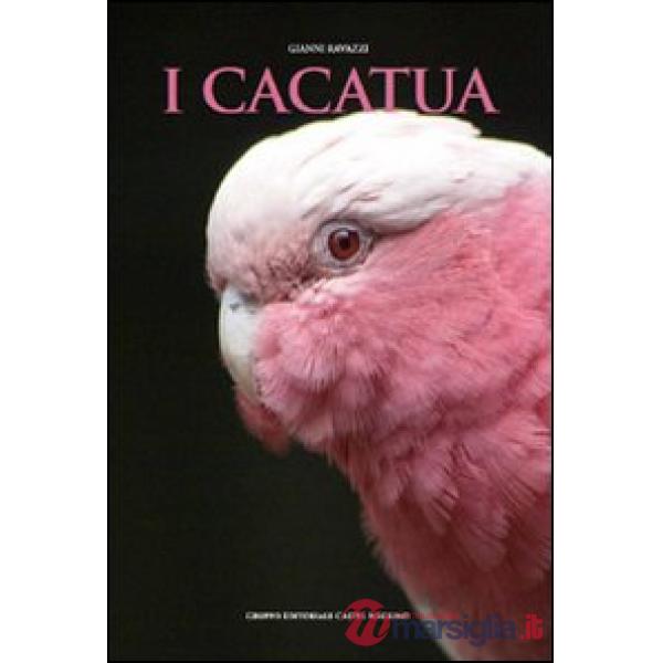 Cacatua (I)