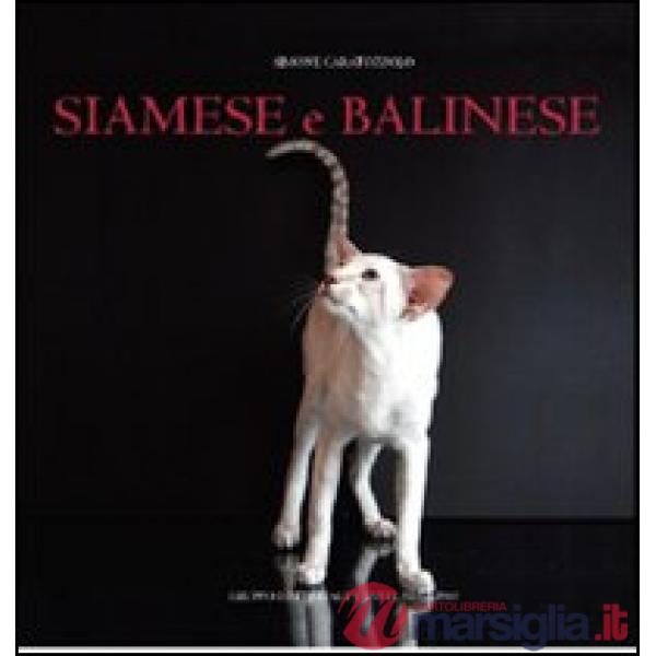Siamese e balinese. Ediz. illustrata