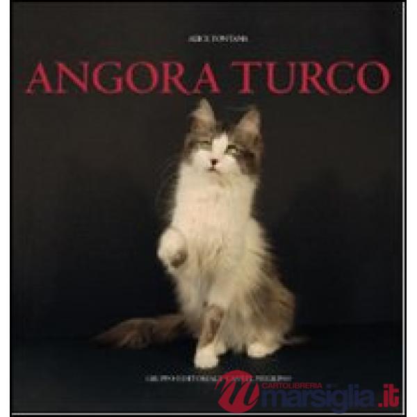 Angora turco