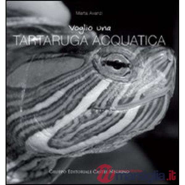 Voglio una tartaruga acquatica