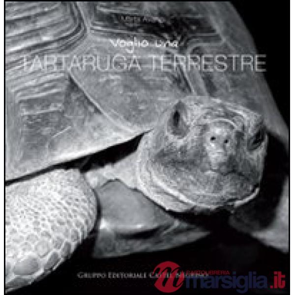 Voglio una tartaruga terrestre