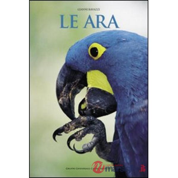 Ara (Le)
