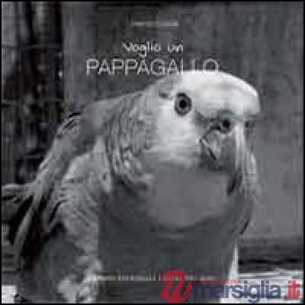 Voglio un pappagallo