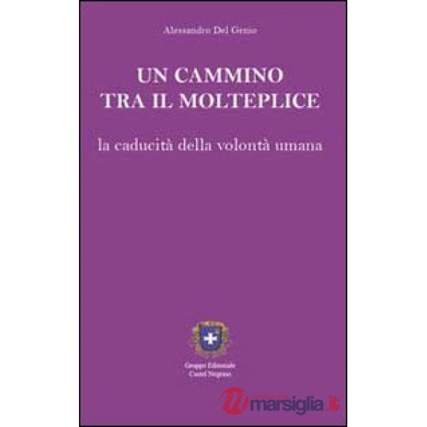 Cammino tra il molteplice. La caducità della volontà umana (Un)