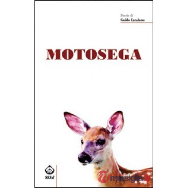 Motosega