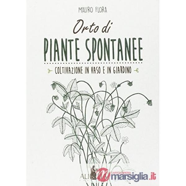 Orto di piante spontanee. Coltivazione in vaso e in giardino