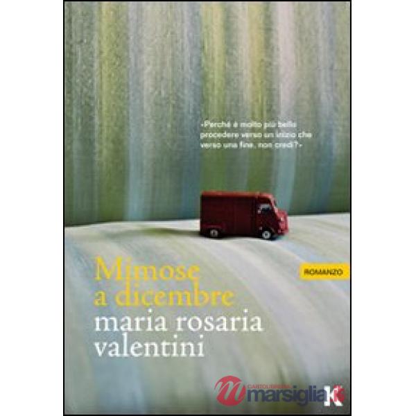 Mimose a dicembre