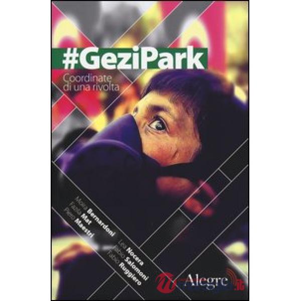 GeziPark. Coordinate di una rivolta