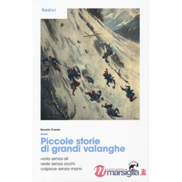 Piccole storie di grandi valanghe