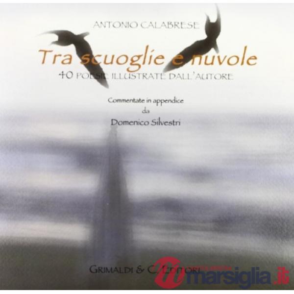 Tra scuoglie e nuvole. 40 poesie illustrate dall'autore