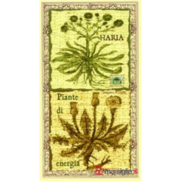 Piante di energia