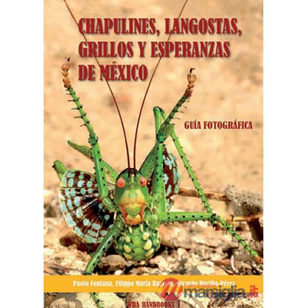 Chapulines, langostas, grillos y esperanzas de Mexico-Grasshoppers, locusts, cri