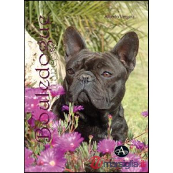 Bouledogue francese