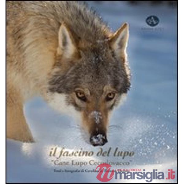 Fascino del lupo. Cane lupo cecoslovacco-The charm oh a wolf. Czechoslovakian wolfdog. Ediz. illustrata (Il)