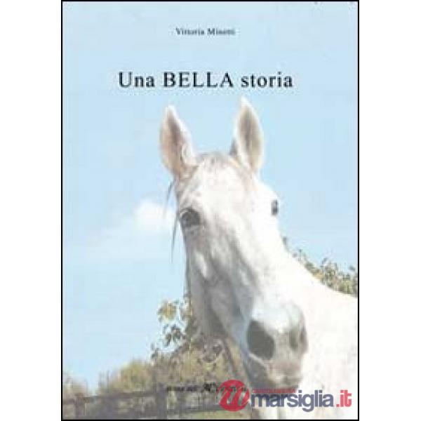 Bella storia (Una)