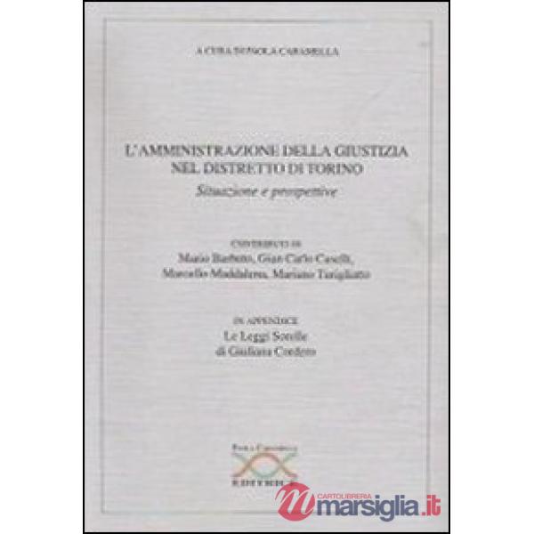 Amministrazione della giustizia nel distretto di Torino. Situazioni e prospettive (L')