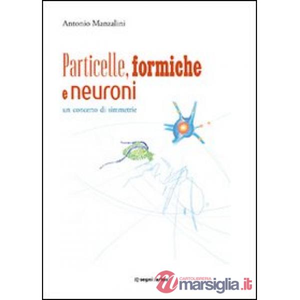 Particelle, formiche e neuroni: un concerto di simmetrie