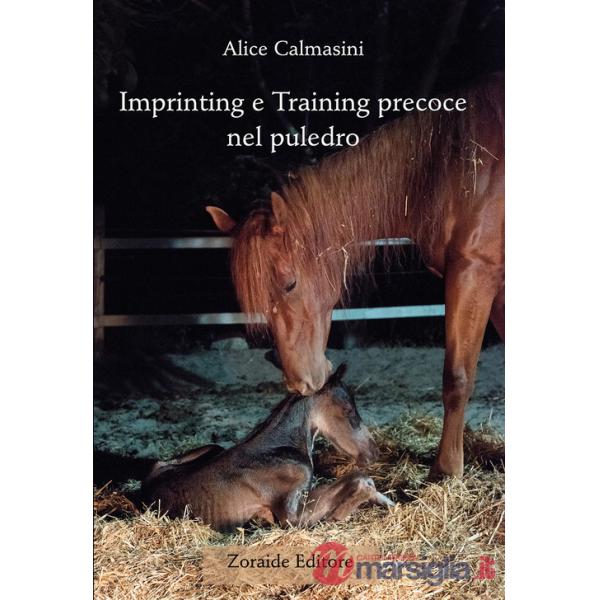Imprinting e training precoce nel puledro