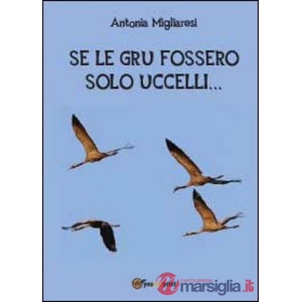 Se le gru fossero solo uccelli...