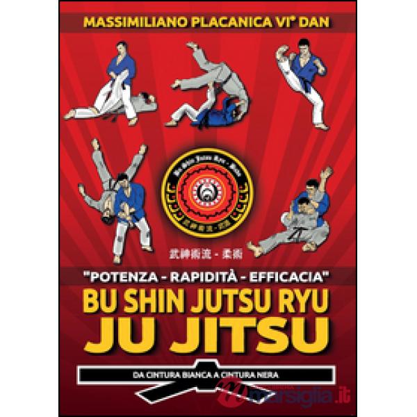 Bu Shin Jutsu Ryu. Ju jitsu. Da cintura bianca a cintura nera