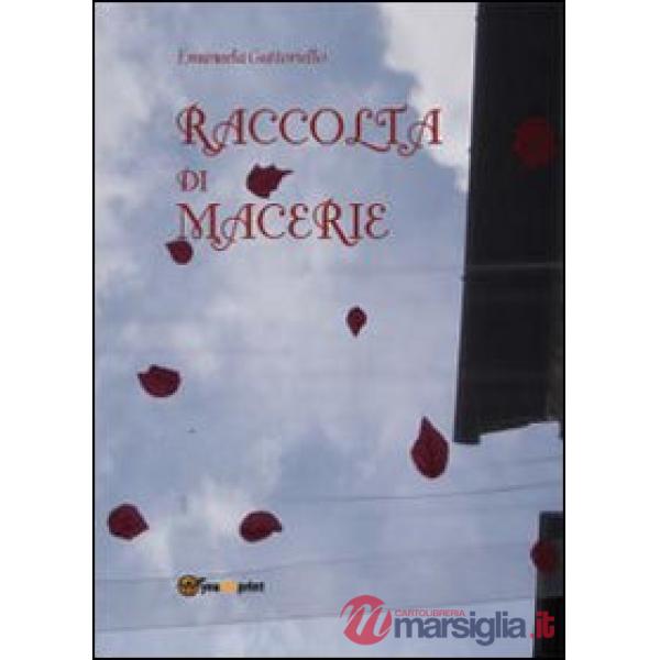 Raccolta di macerie
