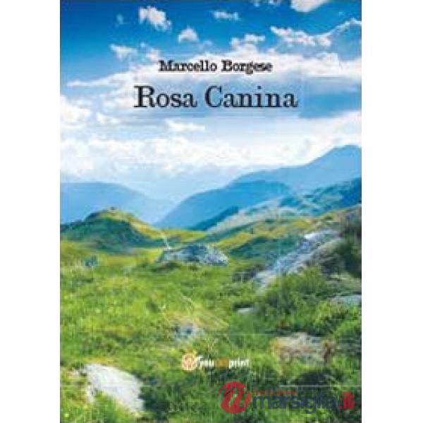 Rosa canina