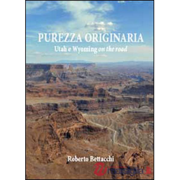 Purezza originaria