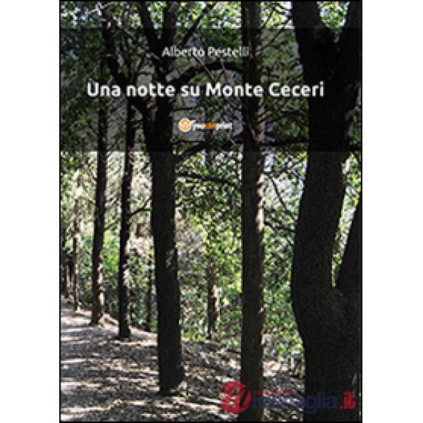 Notte su Monte Ceceri (Una)